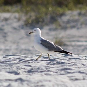 Meet your Posher, Katlin